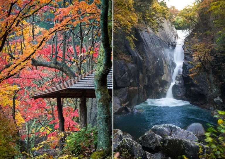 best spots autumn foliage japan