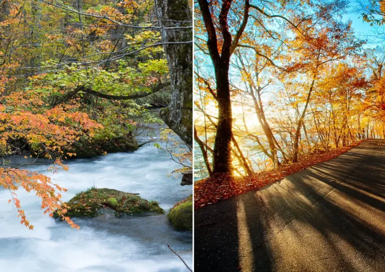 best spots autumn foliage japan