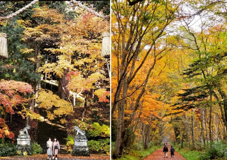 best spots autumn foliage japan