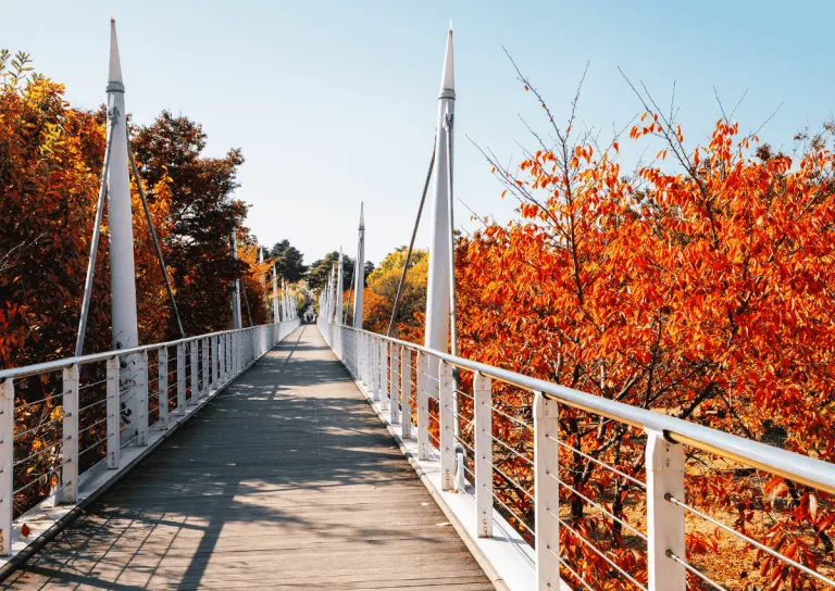 autumn spots south korea