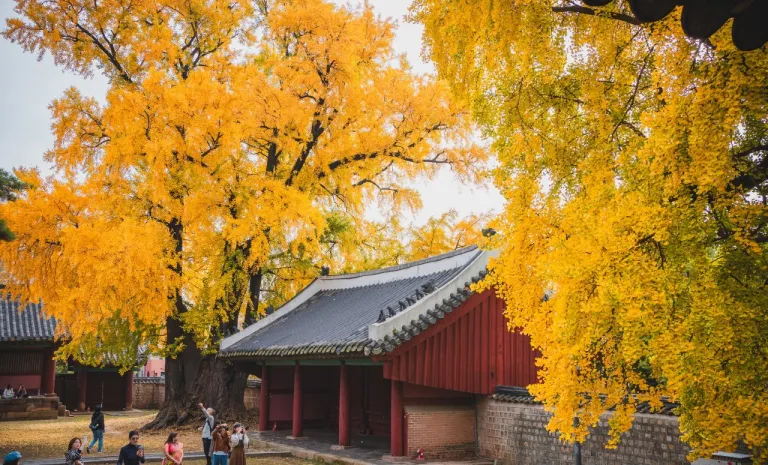 autumn spots south korea