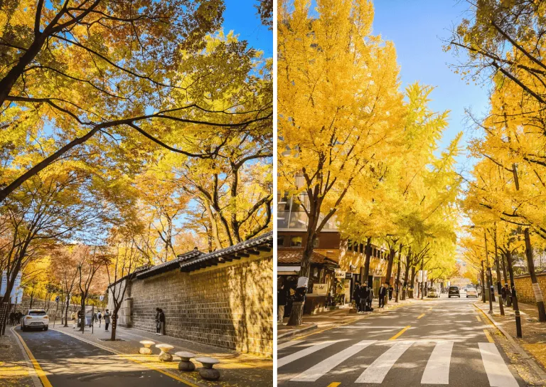 autumn spots south korea