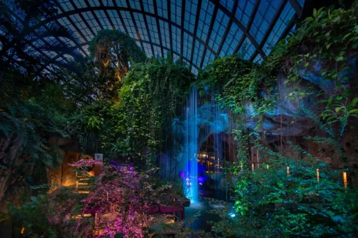 image for article Entopia By Penang Butterfly Farm Introduces World's First Biofluorescent Garden: All You Need to Know