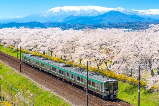 image for article 5 Hidden Gems For Muslim Travellers Along the Northern J-Rail Line Hokkaido to Tohoku 