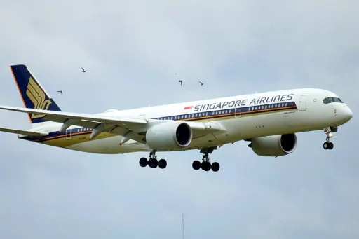 image for article Singapore Airlines Removes Unruly Passengers For Abusing Cabin Crew