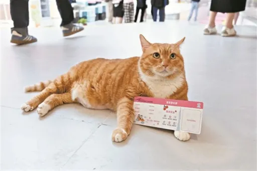 image for article Guangzhou Airport Opens China’s First Pet Terminal — Great News For Muslim Travellers With Pets