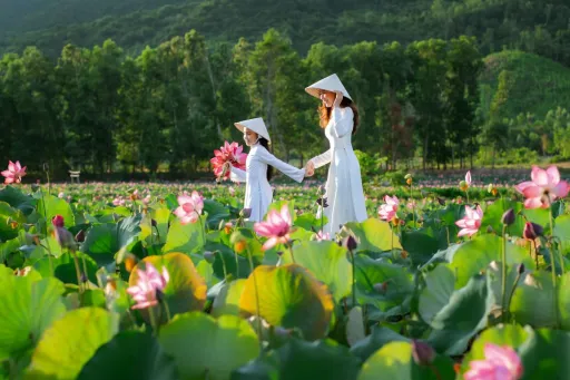 image for article Vietnam Launches Golden Visa: Stay Up to 10 Years Starting 2025