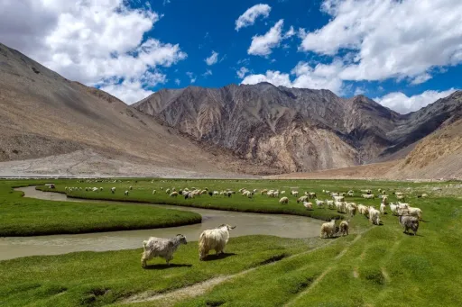 image for article 5 Unbelievable Places to Visit in India For Muslim Travellers