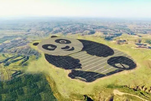 image for article This Giant Panda Solar Farm in China is a Must-See For Muslim Travellers