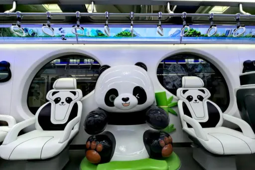 image for article Chongqing’s Panda Monorail: The New Must-See Halal Attraction in China