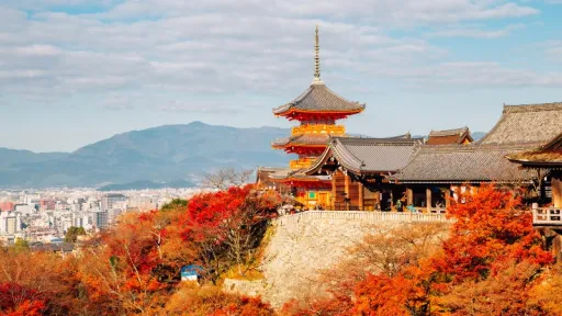 image for article Must-Have Items for Muslim Travellers During Summer Holidays in Japan