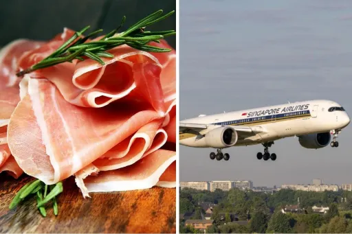 image for article Singapore Airlines Apologise After Accidentally Serves Muslim Passenger Pork Mid-Flight — Here’s What Happened!