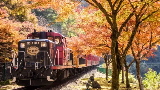image for article Muslim Travellers Guide to the Sagano Romantic Train: Kyoto’s Most Scenic Journey