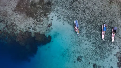 image for article A Guide to Karimunjawa: Your Ultimate Muslim-Friendly Island Getaway