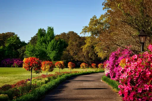 image for article From Shalimar to Agdal: 10 Heavenly Gardens Every Muslim Traveller Should Visit