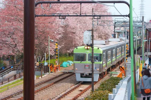 image for article Hokkaido’s Red Star and Blue Star Luxury Trains to Launch in 2027 — Here’s What Muslim Travellers Should Know!