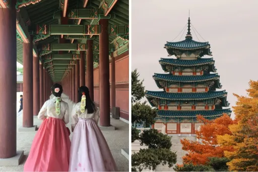image for article 9 Halal Things That Are Cheaper in South Korea Compared to Singapore