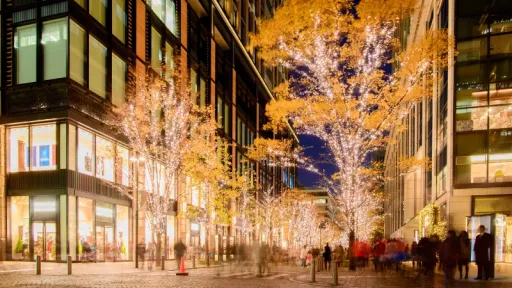 image for article The Ultimate Guide to Spending New Year in Tokyo: Tips for Muslim Travellers