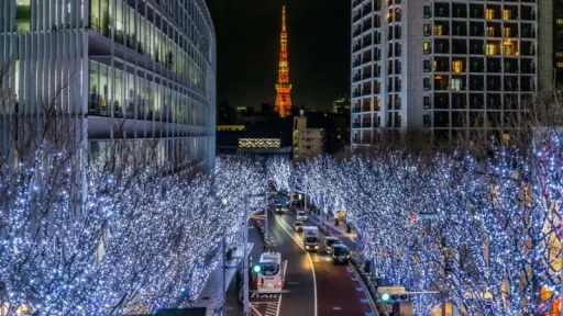 12 Magical Winter Wonders in Tokyo, Japan: Your Ultimate Family Guide to Snow and Lights image for article 12 Magical Winter Wonders in Tokyo, Japan: Your Ultimate Family Guide to Snow and Lights