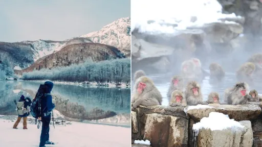 image for article 10 Best Winter Destinations in Nagano: A Muslim Traveller’s Guide to the "Roof of Japan"