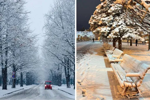 image for article What Travellers Need to Know About Hokkaido Winter Storm 2025