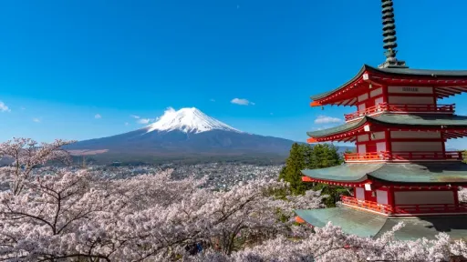 image for article Mt. Fuji’s Iconic Cherry Blossom Festival Canceled for 2026: Essential Updates for Travelers