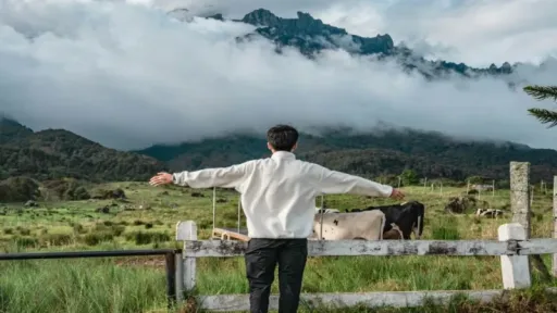 image for article Kundasang Family Escapade: The Ultimate Muslim-Friendly Guide to Malaysia’s "Little New Zealand"