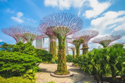 image for article Gardens by the Bay Ranked 3rd in the World by TripAdvisor: Muslim-Friendly Guide to Food & Prayer Spots