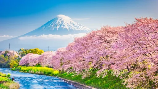 image for article Muslim-Friendly Travel Guide to Shizuoka, Mt. Fuji’s Scenic Neighbor