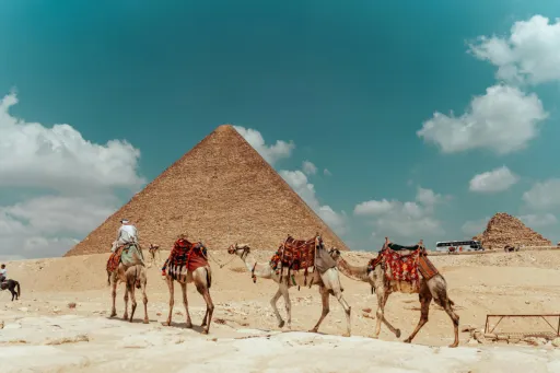 image for article Egypt Bans Camel and Horse Rides at The Pyramids. Here’s What Muslim Travellers Should Know