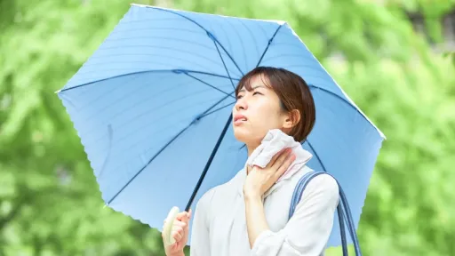 image for article Japan Temperatures Reach 40°C: How to Stay Safe and Enjoy Your Summer Getaway