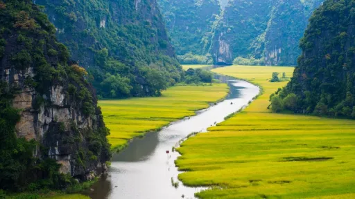 image for article Vietnam Month-by-Month Travel Guide: Year-Round Destination Recommendations for Muslim Travellers
