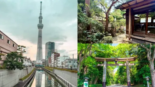 image for article 5 Peaceful and Muslim-Friendly Hidden Gems in Tokyo