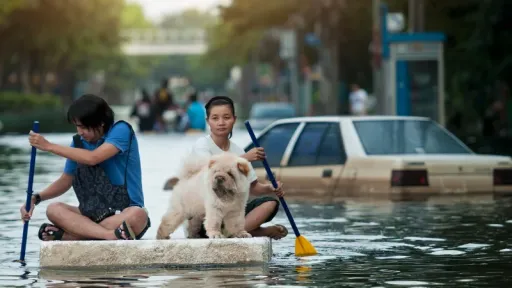 image for article Bangkok Declares State of Emergency Due to Flooding: Essential Travel Guidance for Muslim Travellers