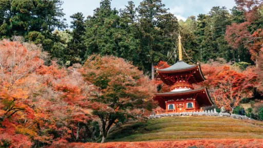 image for article 8 Best Spots in Osaka to Enjoy Autumn Colours, From Parks to Waterfall