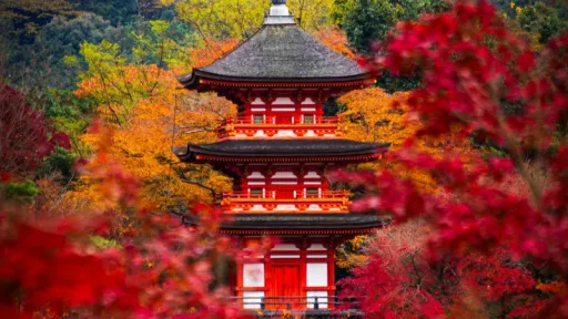 image for article Experience Autumn Beauty: Visit These 10 Stunning Spots in Kyoto