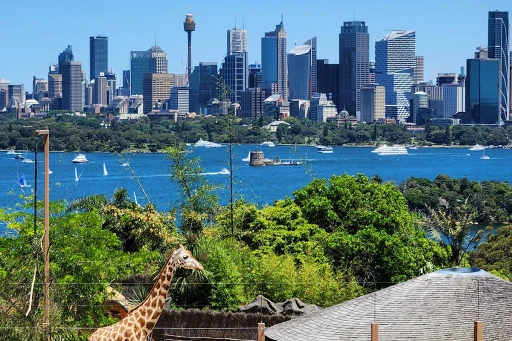 image for article Muslim-Friendly Experiences in Australia: Things to Do For All Travellers