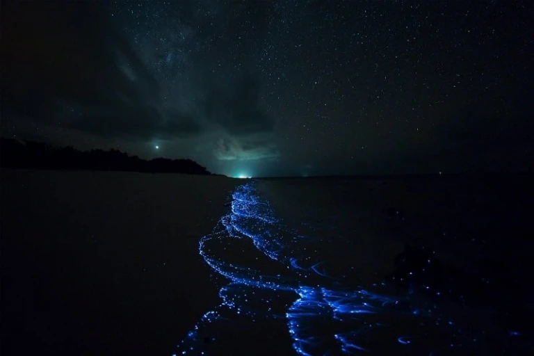 Unique things to do in the Maldives: Watch Vaadhoo Island glow