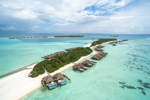 image for article 7 Picture-Perfect Reasons Why the Maldives is the #1 Post-Pandemic Destination
