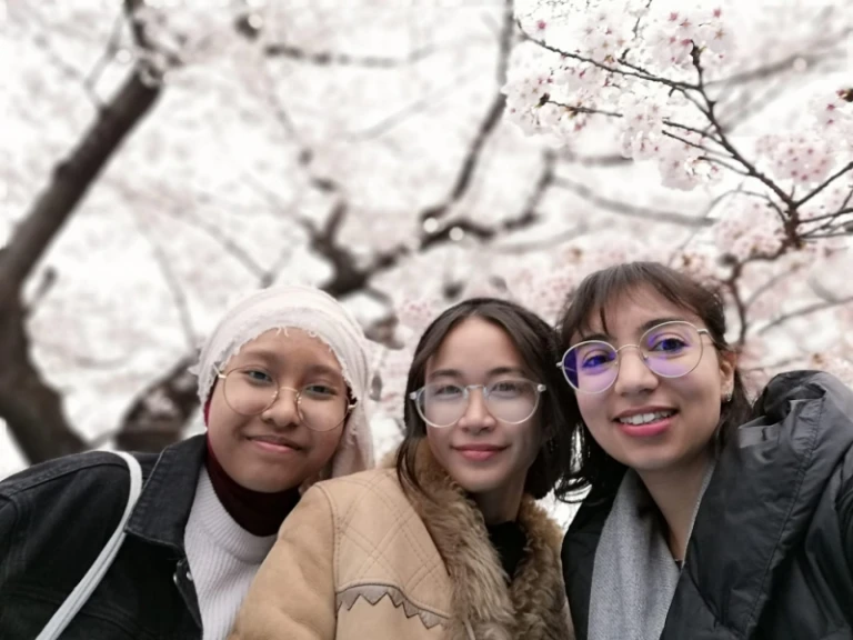 Tokyo Japan cherry blossoms