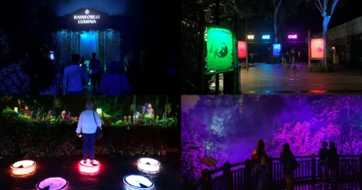 image for article Rainforest Lumina Returns To The Singapore Zoo This June