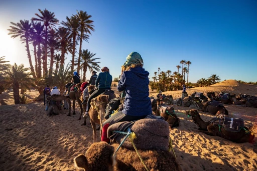 image for article Your Muslim-Friendly Itinerary to Morocco: 7D6N in Marrakech, Fez And More