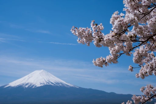 image for article Mount Fuji Woos Muslim Travellers With New Halal Food Options and Prayer Rooms