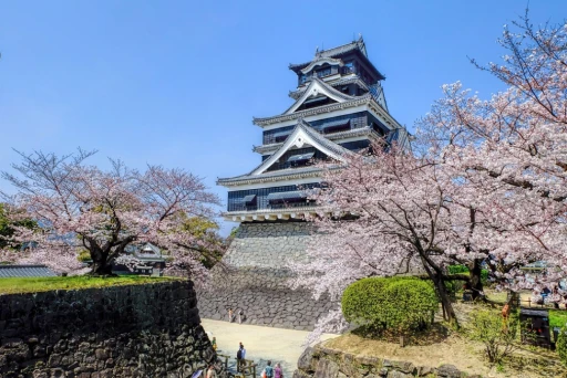 image for article Sakura Season: Japan’s Cherry Blossoms Bloom Early in 2019