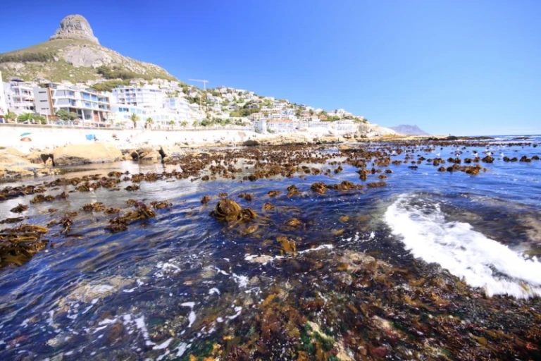 Sea Point Cape Town