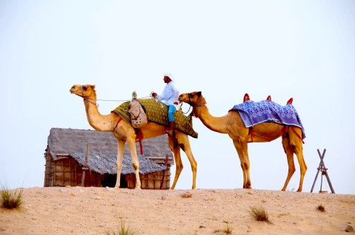 image for article 8 Things to Do on an Overnight Desert Safari in Dubai