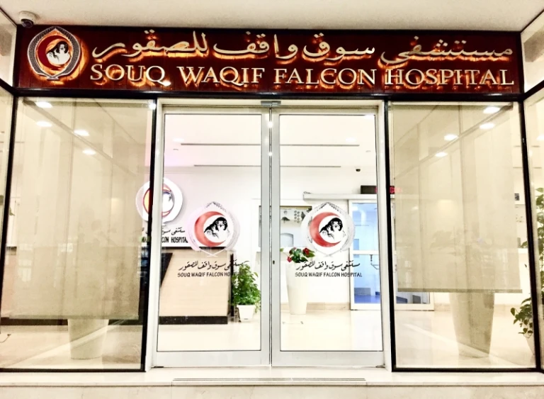 Souq Waqif Falcon Hospital Doha Qatar