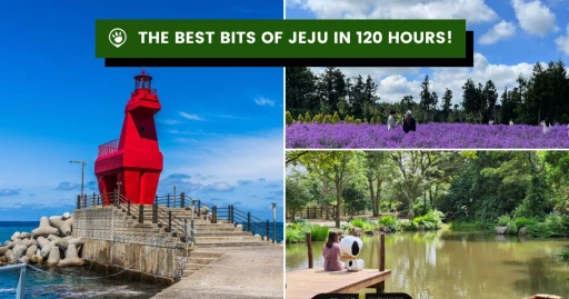 image for article Muslim Travel Diary: How I Spent 5 Days in Jeju