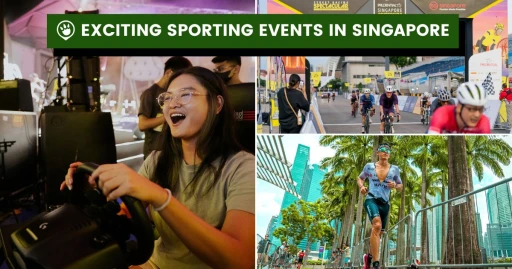 image for article 7 Sporting Events in Singapore to Get Your Adrenaline Pumping